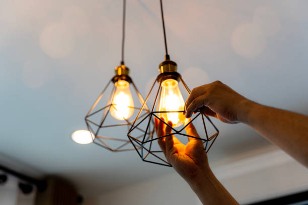 Best Local Electrician Companies  in Orangeburg, SC